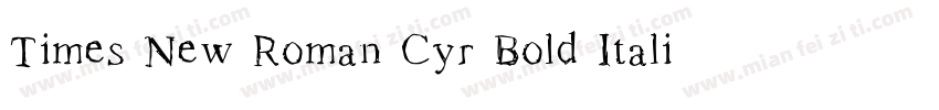 Times New Roman Cyr Bold Italic字体转换